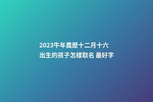 2023牛年農歷十二月十六出生的孩子怎樣取名 最好字